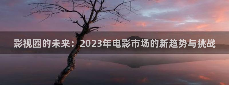97在线小视频：影视圈的未来：2023年电影市场的新趋势与挑战