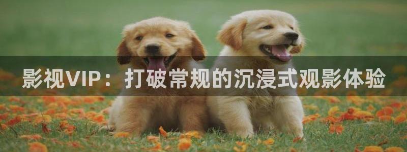 97超碰在线网站：影视VIP：打破常规的沉浸式观影体验