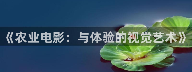 97色网视频：《农业电影：与体验的视觉艺术》