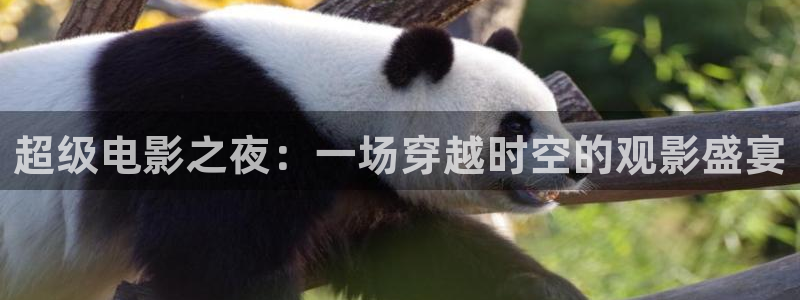 97网在线视频：超级电影之夜：一场穿越时空的观影盛宴