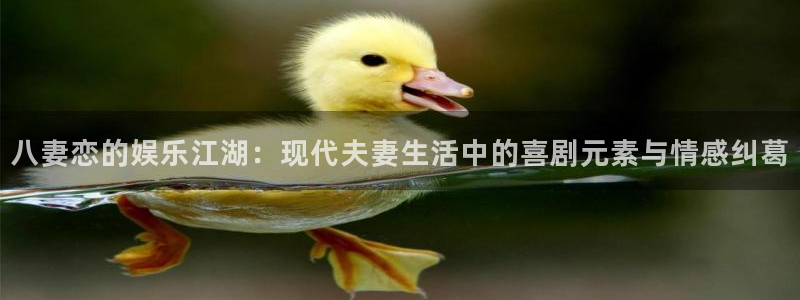97精品在线视频观看：八妻恋的娱乐江湖：现代夫妻生活中的喜剧元素与情感纠葛