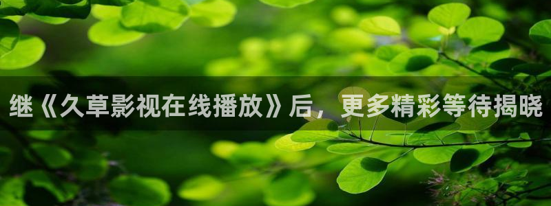 97国产在线视频网站：继《久草影视在线播放》后，更多精彩等待揭晓